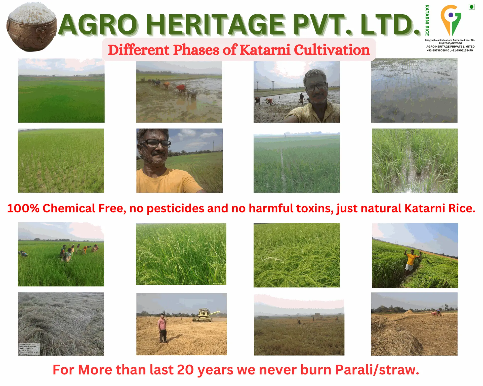 Different Phases of Katarni Cultivation